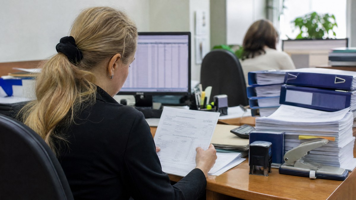 Налоговый инспектор проверяет декларацию по УСН